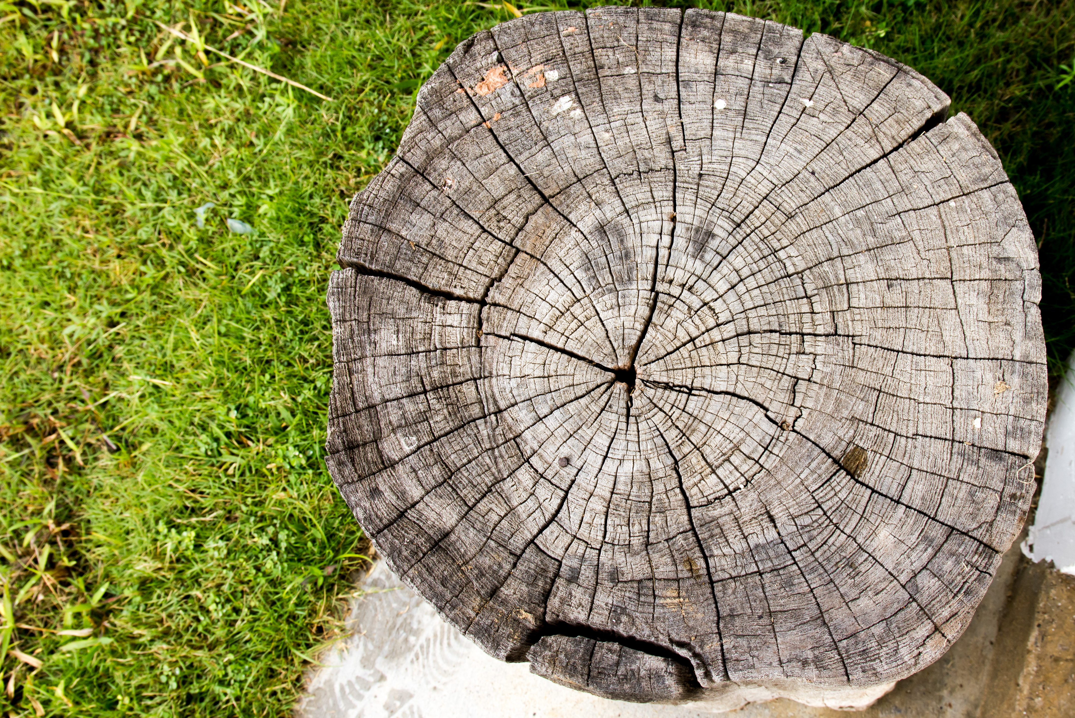 820586_eb9dc5c876e3453cb777c7d5e2519129~mv2_d_4303_2873_s_4_2.jpg (4303×2873)